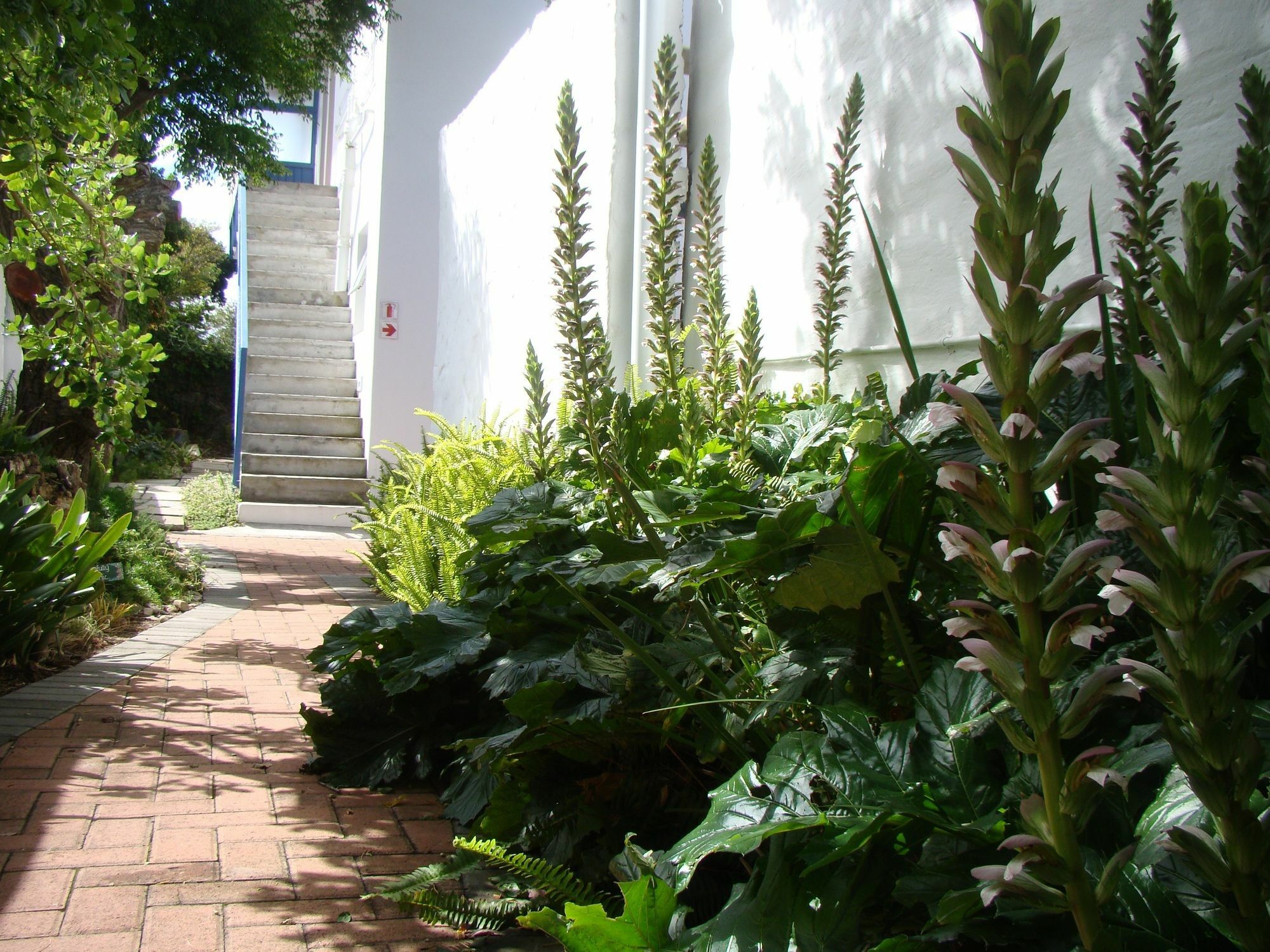 Aqua Marine Guest House Port Elizabeth Extérieur photo